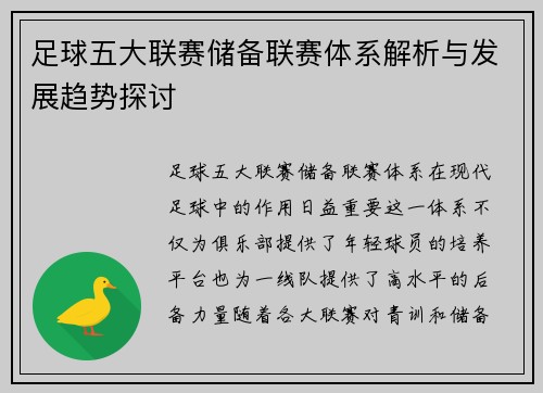 足球五大联赛储备联赛体系解析与发展趋势探讨