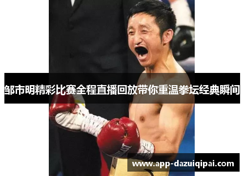 邹市明精彩比赛全程直播回放带你重温拳坛经典瞬间